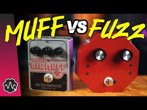 MUFF vs FUZZ: What's the Difference? | Too Afraid To Ask