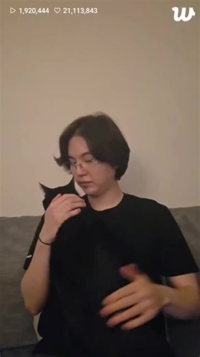 Discover Yoongi's Cat: Tang from Seoltang