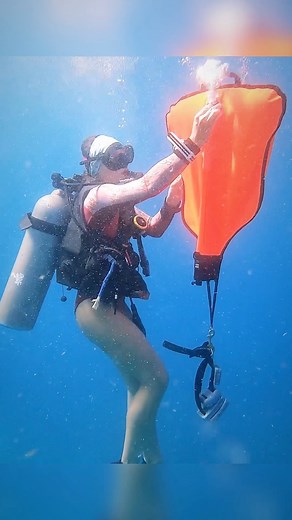 Learn how to safely use a lift bag during your Search and Recovery training as a part of the Divemaster course at Coconut Tree Divers! #openwatertraining #padicertified #amazingplacestovisit #go_pro #marinebiologist #padidivemaster #marinewildlife #scubadivingaddicts #scubadivinggirls #divingphoto #learntodive #roatanlife #openwaterdivers #openwaters #padidive #travelalways #roatanisland #caribbeanvacation #caribbeanculture #padicourses #vacationing #wildplanet #instadive #adventureday #instadiv