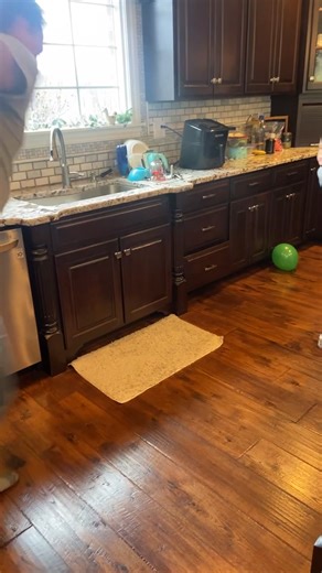 MAC Tree Services 740-581-0211 | Ryan Cater