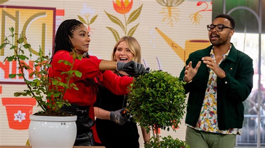 Spring gardening tips for beginners: Tools and tips to care for plants