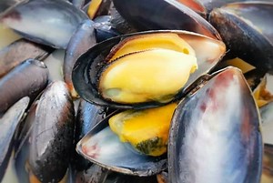 What can mussel shells be used for? [2025] | QAQooking.wiki