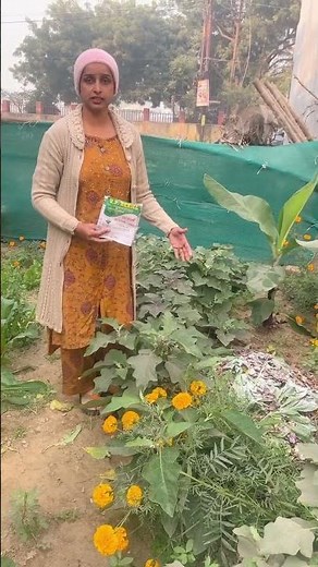 How to use Trichoderma for Plants पौधों पर ट्रिकोडेरमा का प्रयोग कैसे करे #orgenicfarming