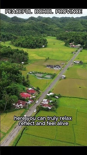 Bohol Nature Escape | Peaceful Rice Fields, Swaying Palms & Hidden Beauty of the Province #bohol