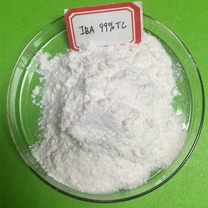 [Hot Item] Agrochemical Indolebutyric Acid Iba 99% Tc