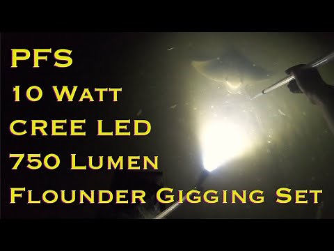 Flounder Spearing Fishing NZ - Gigging Manukau Harbour Floundering