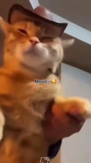 Song: "FriendZone" by Madara Dusal 😍