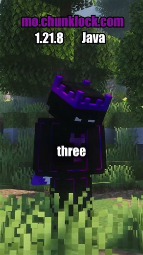 This Player Chose the ENDERMAN Essence?! ⛏💎
