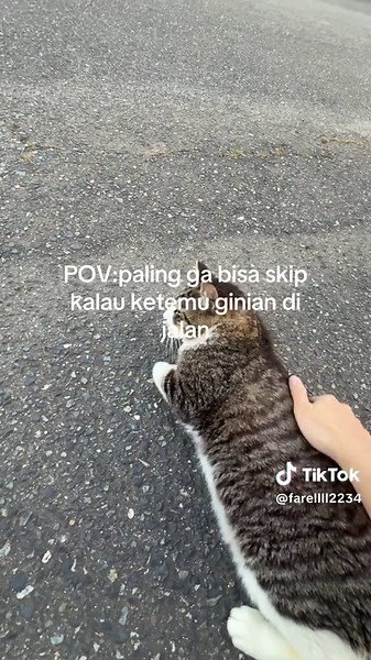 Paling Gak Bisa Skip Kalau Ketemu Gini di Jalan — Reaksi Lucu & Kebiasaan