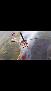 140 reactions · 17 comments | 你熟悉的日常，其實一點也不平凡。...