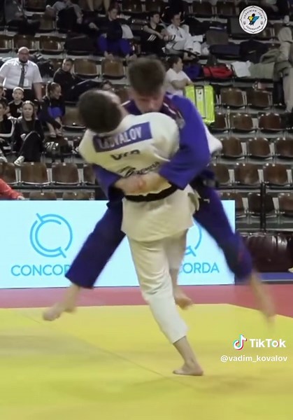 Judo Techniques and Styles Explained