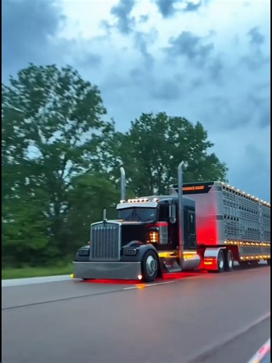 Kenworth W900 with 18-Speed Eaton Fuller Transmission: Hauling Live Stock / #BullWagon #Livestock #FAFO #ChickenLights #KentworthW900 @Exclusive Backstage Pass @Rare Commodity @Rare Commodity @Rare Commodity