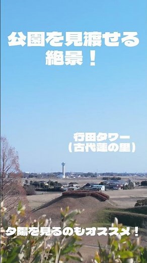 【行田観光】行田の歴史に触れよう‼さきたま古墳公園‼