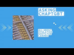 Unlocking Canine Fertility: A Comprehensive Guide to Ovulation Shots for Dogs. Chaptgbt Explains All