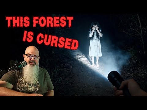 Cannock Chase: Every Monster Haunting England's Most Cursed Forest