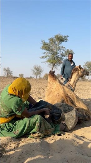 مشقة الحياة تُكتب على جبهة فتاة شجاعة