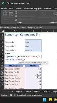 💣 Suma con múltiples palabras en Excel usando comodines (*)