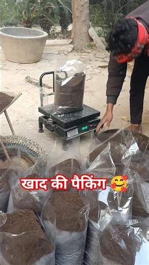 खाद की पैकिंग कैसे करें || खाद कैसे तैयार किया जाता है#minivlog #vlog #shorts #viral
