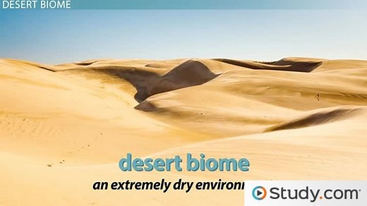 Desert Biome Locations, Animals & Plants | What is Desert Biome Climate?