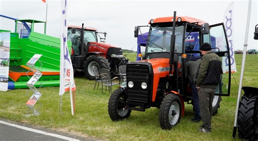 To nie żart. Możesz mieć nowego Ursusa MF 255 za 37 tys. zł - Maszyny rolnicze