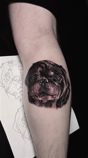 Portraits of a Beloved 18-Year-Old Pug