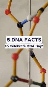 Did you know that if one person’s DNA were unraveled and placed end to end, it would stretch from Pluto and back? Today, we’re celebrating the complexity and beauty of our genetic code, which holds the key to our individuality, heritage, and health. .🧬 🎉 Let's honor the scientists who unraveled its mysteries and continue to unlock its secrets to create a healthier future for all of us! Happy DNA Day! #DNADay #DNADay24 | All of Us Research