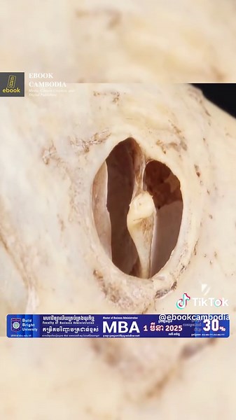#ebookcambodia