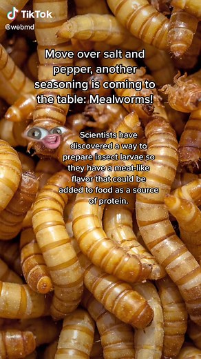 Eating insects isn't new but it’s a tougher sell in the U.S. #mealworms #protein #insects #edibleinsects #foodie #nutrition #foodiesoftiktok #wouldyou #webmd #foodtrend #foodtrends