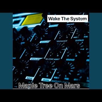 Wake The System
