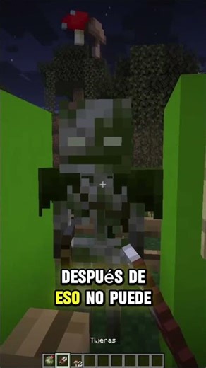 DÍA 125 DE 365 UNA CURIOSIDAD DE MINECRAFT POR DÍA