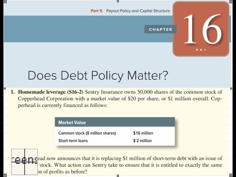 Homemade Leverage (Q16.1)