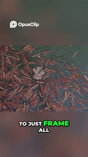 Abstract Nature Photography Colorful Wheat Corn in Water #landscapephotography #woodlandphotography