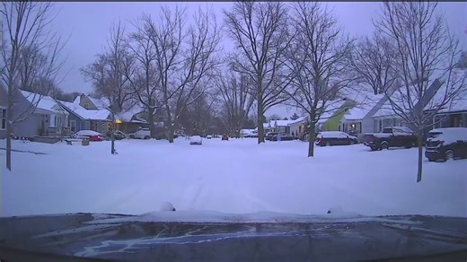 Southeast Michigan snow totals: Here's how much snow fell Wednesday and Thursday