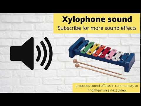FREE Xylophone Sound Effect