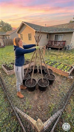 Simple DIY Pyramid-Shaped Organic Tomato Planter | Backyard Garden Idea #TomatoLovers #planter