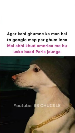 Google map 🤡 #catmemes #dogmemes #aestheic #explore #popular #funnymemes #aestheticstatus #shorts