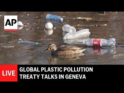 LIVE: Global plastic pollution treaty talks in Geneva