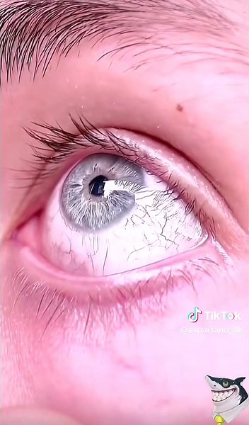 F L O K I _ 4K on TikTok