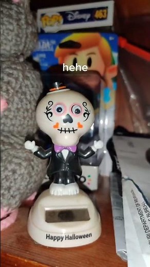 Googly Eye Prank: A Sleepover of Hilarious Surprises#googlyeyes #sleepoverprank