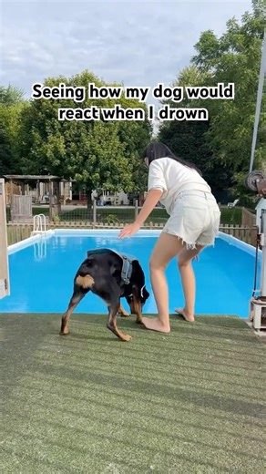My dog’s reaction when I pretended to drown in front of her #shorts