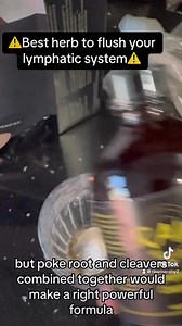 ⚠️Best herb to flush your lymphatic system⚠️#lymphaticdrainage #lymphaticsystem #detox Try it https://miraherbals.info/products/cleavers-tea?_pos=10&_sid=e39b10a19&_ss=r | Healthy Hair made easy