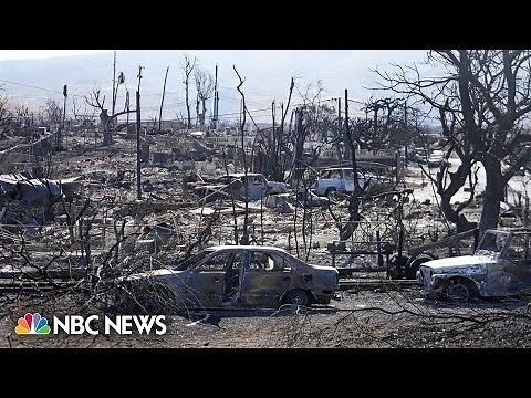 Hundreds still missing after deadly wildfires in Maui