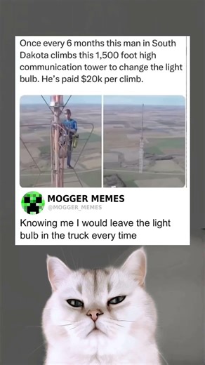 I would leave the light bulb in the truck every time