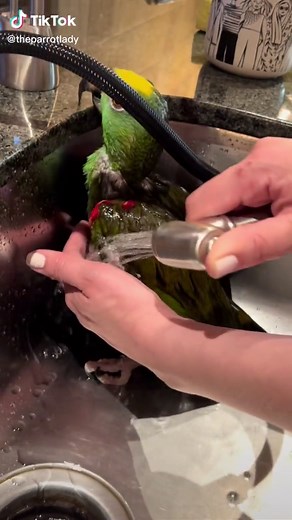 Wendy Albright on TikTok