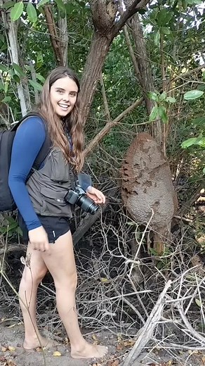 Nidos enormes de Termitas | Ana Descalza