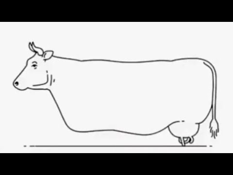 Function in c , factorial