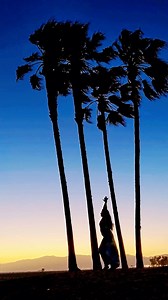 Dancing to the waves and winds of Los Angeles...the song just happened to fit ❤️ that's the power of letting go and simply swaying 🌸 . . . #belly #bellydance #bellydancer #bellydancersofinstagram #bellydancerinmaking #bellydancers #sunset #dancingwithmyself #lettinggo | Shreya Sharma