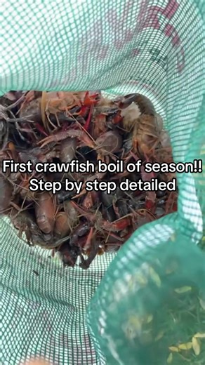 Enjoying the First Crawfish Boil of the Season