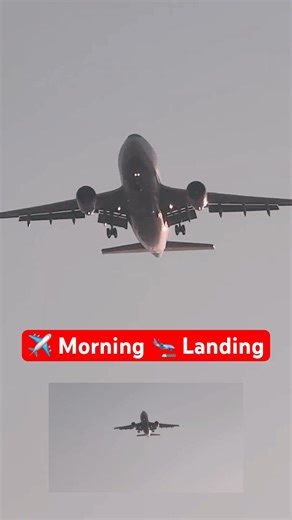 ✈️ see the approach and smooth touchdown ❤️Subscribe for more real aviation moments❤️ #aeroplane