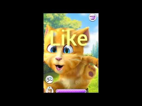 😍🥝😂 Talking Ginger Using Time Machine 😅😋🤠